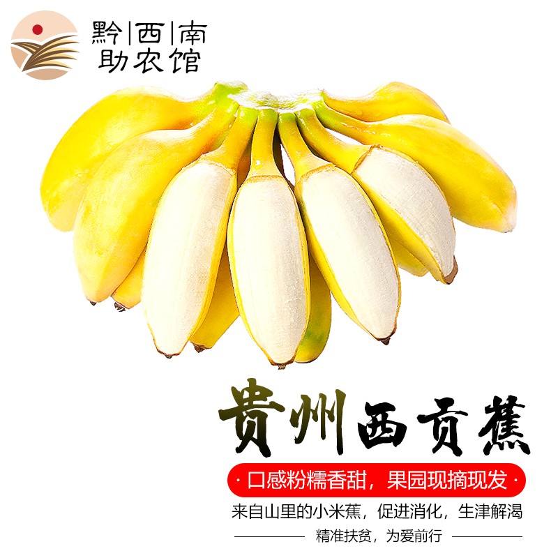 黔西南助农馆 西贡蕉当季新鲜苹果香蕉10斤香甜糯小米蕉皇帝蕉芭蕉水果整箱 3斤装