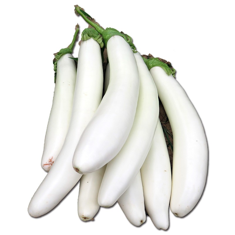 白茄子 相关京东优惠商品 价格图片品牌优惠券 虎窝购