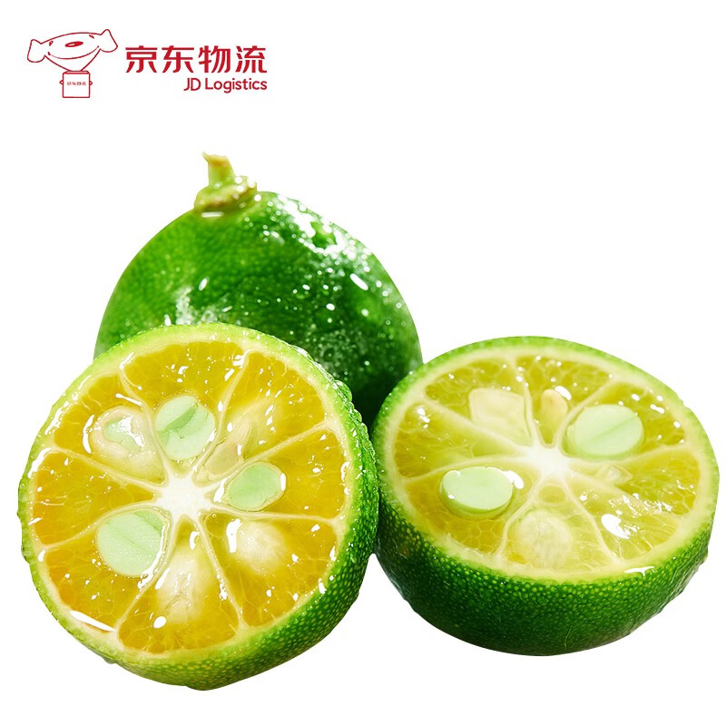 小金桔薄皮青桔子新鲜水果酸金桔奶茶店榨汁用 500g