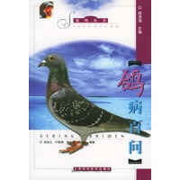 鸽病百问——赛鸽丛书【正版图书】