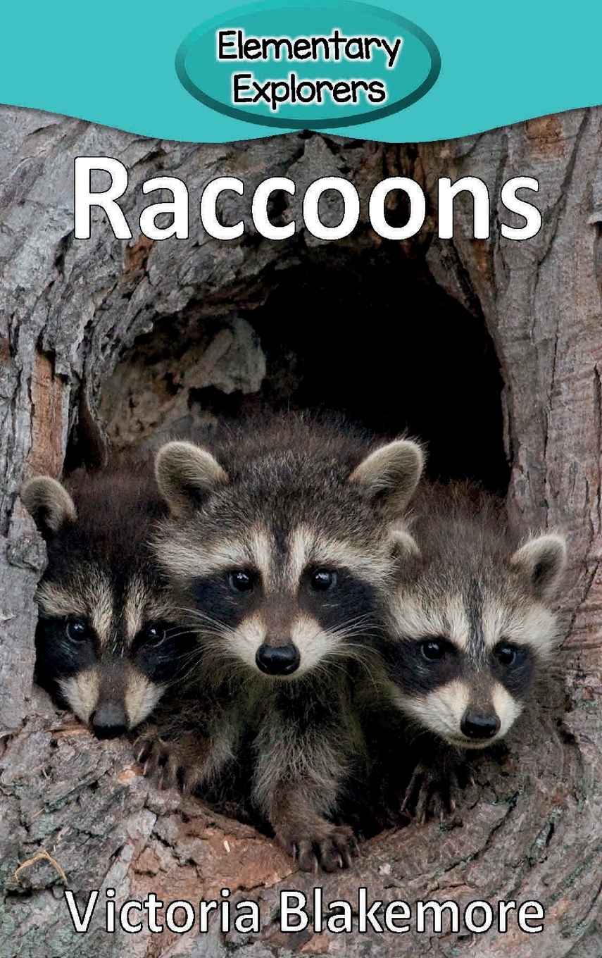 【预售 按需印刷】raccoons
