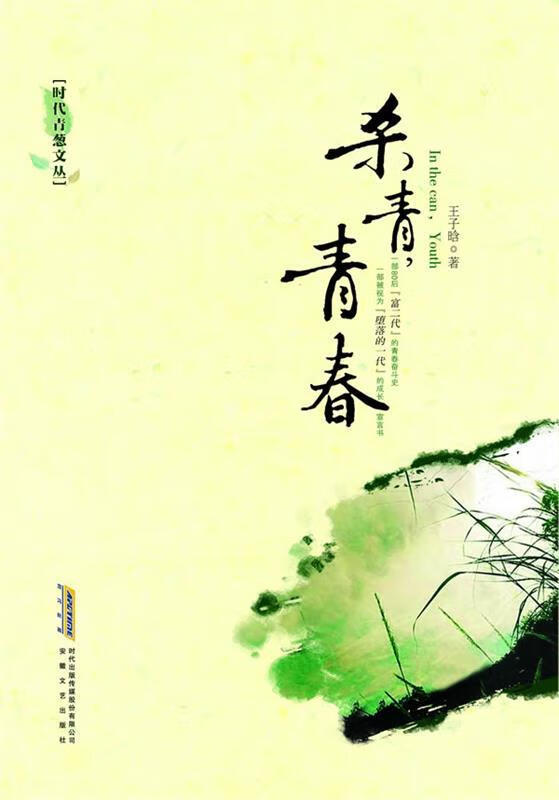 杀青，青春 王子晗 著【正版】
