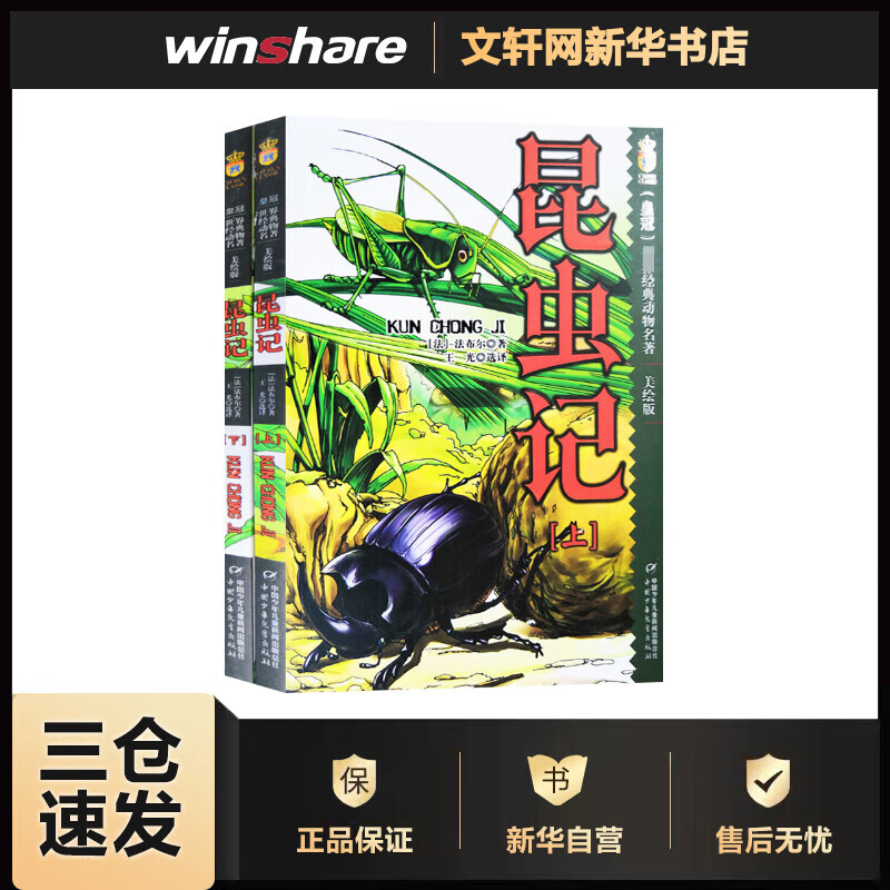 昆虫记 美绘版