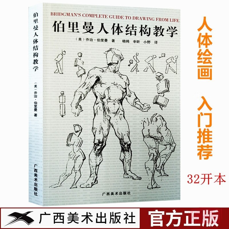 伯里曼人体结构教学32开本 理解人体形态人物绘画素描大师 人体骨骼