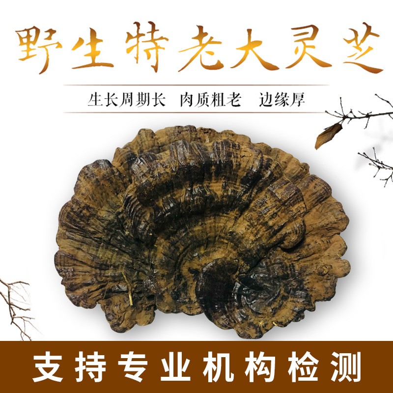 京选优品 贵州黑灵芝整枝林芝新鲜紫灵芝干货250g一斤装【推荐】 图片