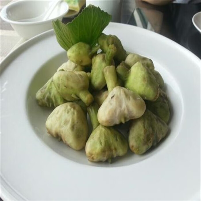 味蕾乐 现货正宗嘉兴南湖菱元宝菱新鲜菱角馄饨菱绿菱无角菱4斤 2000g