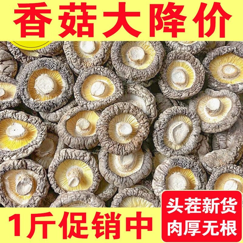 食懷香菇干貨500g新鮮營養(yǎng)農(nóng)家精選肉厚無根干蘑菇菌菇冬菇香茹 500g 正宗香菇【品質款】