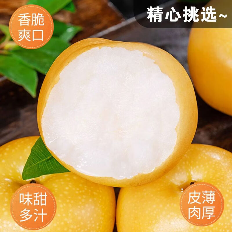 觅百果正宗山东莱阳秋月梨新鲜水果梨子现摘当季冰糖蜜梨团购礼品整箱 带箱9.5-10斤果王【10-12枚】甄选装