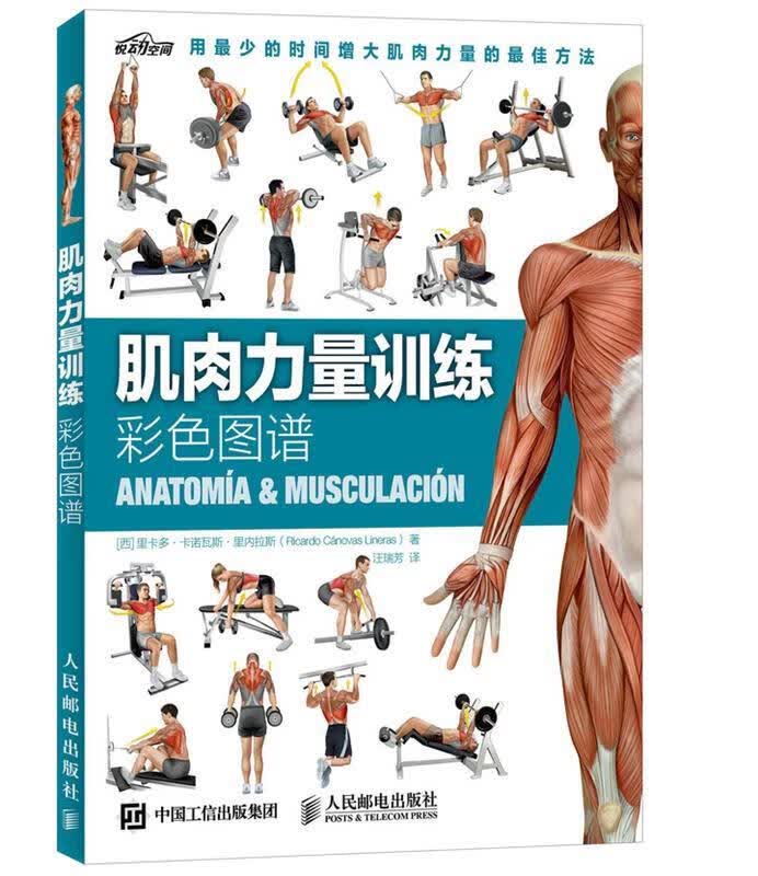 【全新正版送货上门】肌肉力量训练彩色图谱（异步图书出品） (西)里内拉斯著,汪瑞芳译 人民邮电出版社