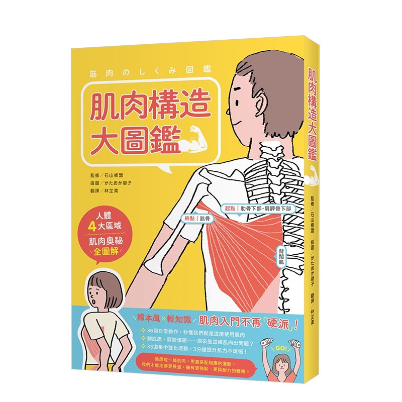 【现货】肌肉构造大图鉴 36个动作插图与简易问答，快速建立肌肉基础认知 港台原版健康运动人体科普善本图书