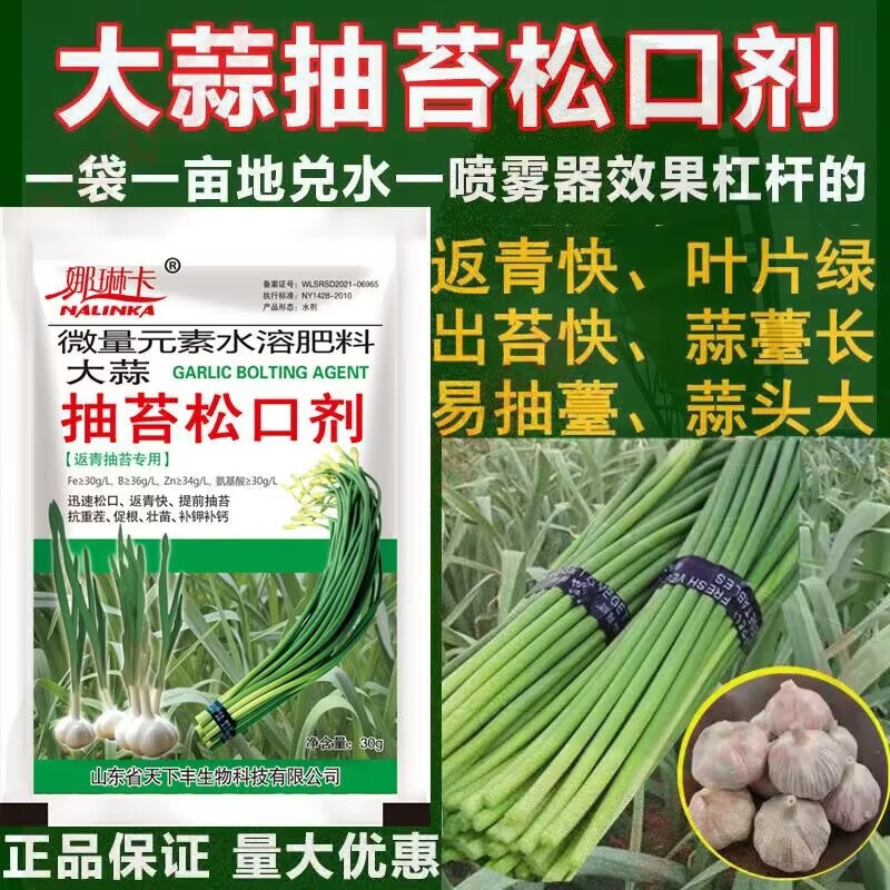 大蒜松口剂膨大剂拉长素专用药蒜苔大蒜膨大素抽苔剂大蒜专用肥 2袋