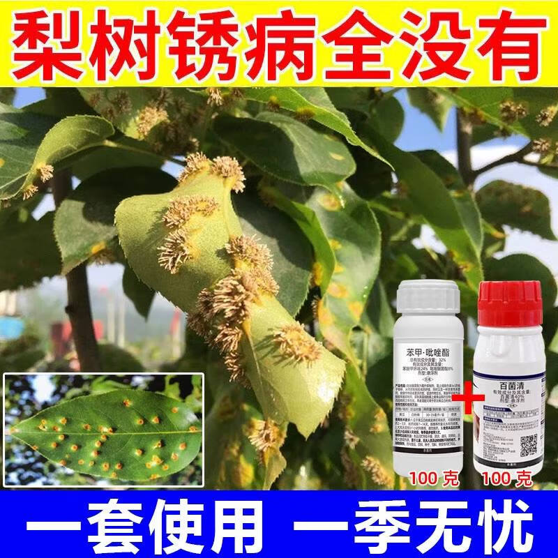 梨树锈病专用梨树杀菌剂梨树锈病白粉病梨树专用杀菌梨树药 200g(100