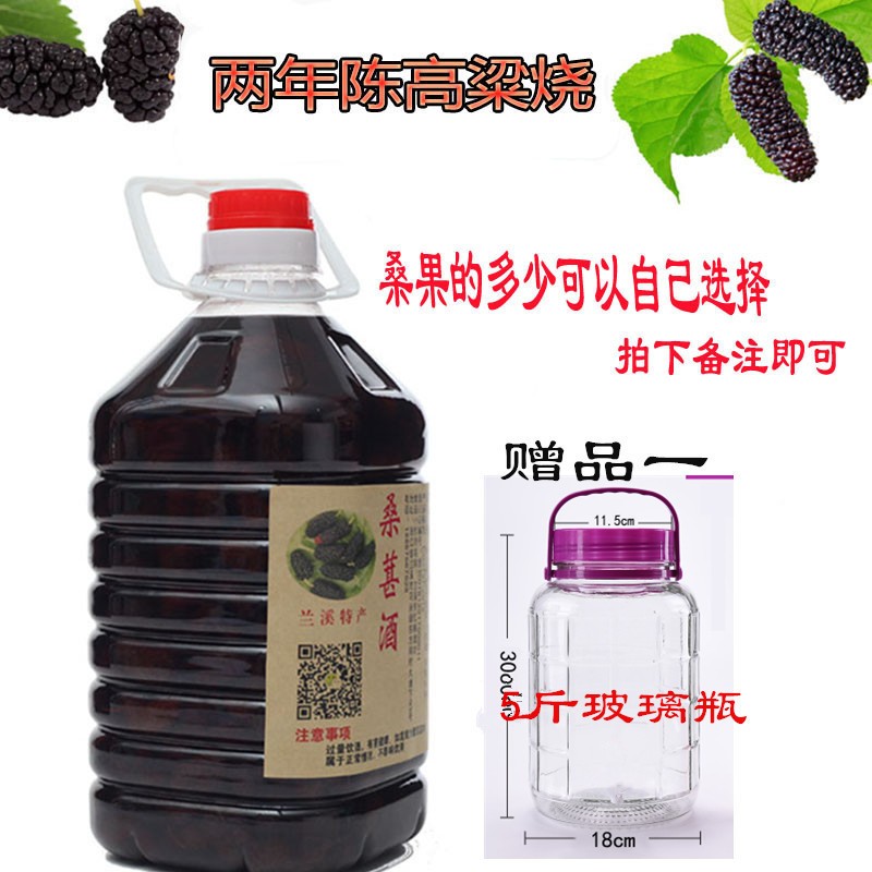 【优选】精选伟博【官方旗舰】桑葚酒农家自酿二年陈果酒桑水果泡酒5