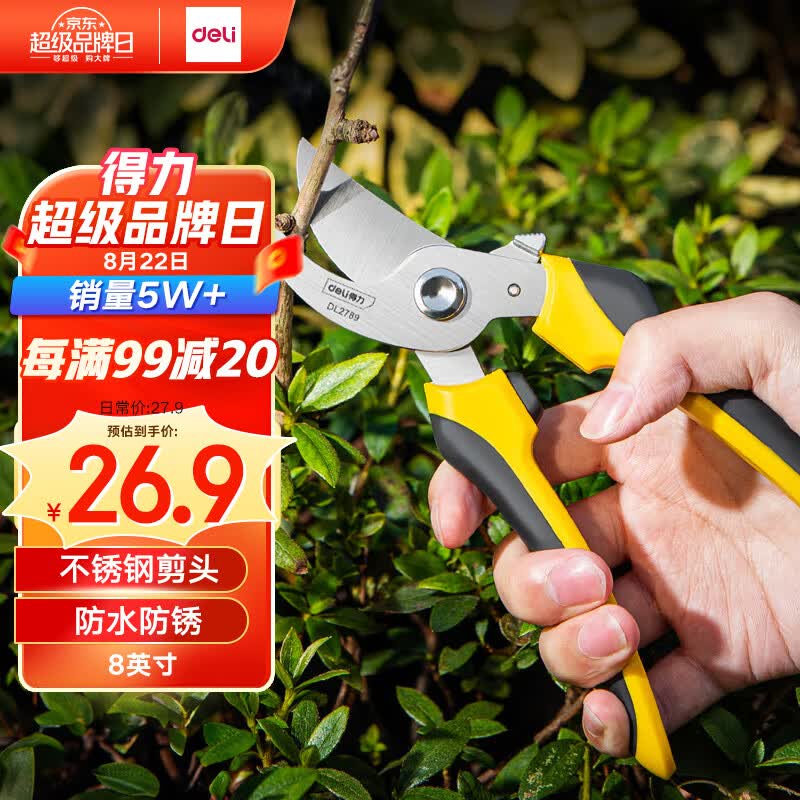 得力（deli）园艺剪刀果枝剪园林剪树枝钳家用修枝剪刀8英寸 DL2789高性价比高么？