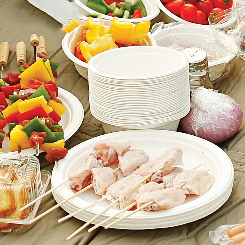 看野餐用品历史价格网站|野餐用品价格历史