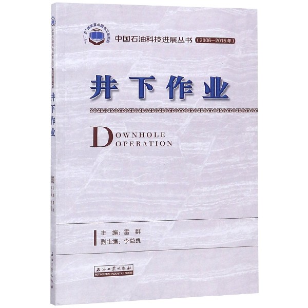 井下作业(2006-2015年)/中国石油科技进展丛书