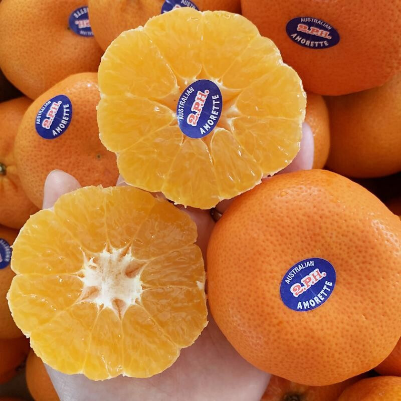 桃李村澳柑澳洲澳橘澳桔澳大利亚桔子橘子孕妇新鲜水果