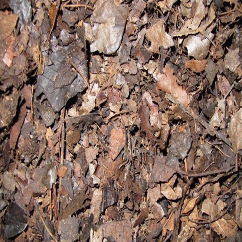 纯橡树叶松针腐叶土兰花君子兰专用橡叶种植酸性营养土 腐熟橡树叶3斤