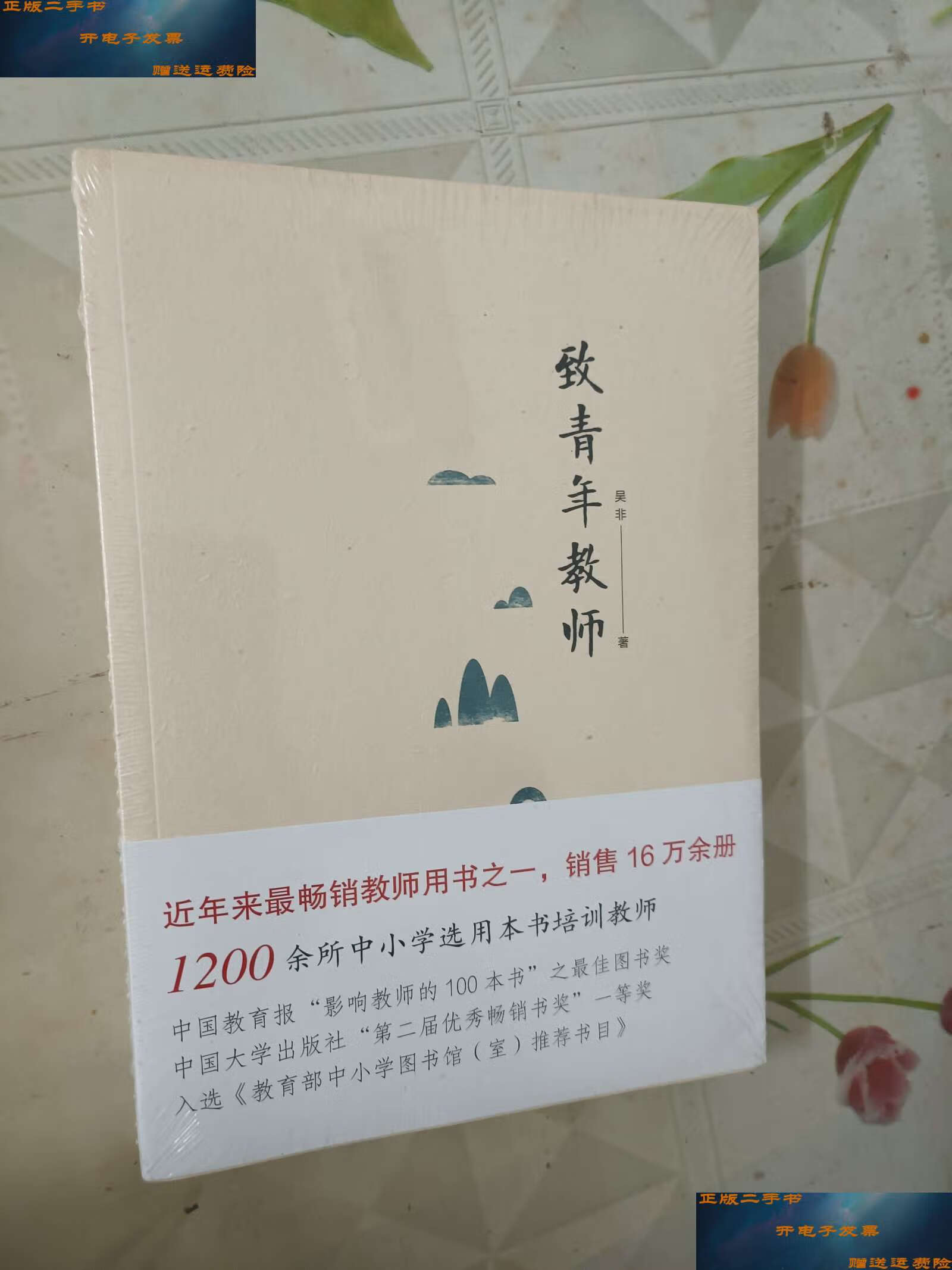 【二手9成新】致青年教师(全新未拆包装) /吴非 中国人民大学