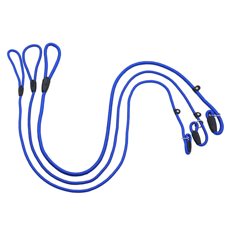 中小型宠物用品狗狗牵引带P绳宠物狗绳P链宠物用品优质尼龙 蓝色 0.6*130cm