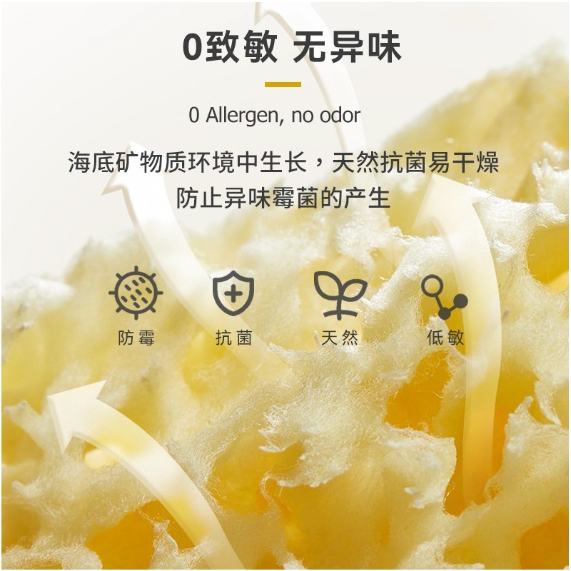 卡琳玛诺(CARLIN MANO)希腊天然海绵洗脸扑婴儿洗澡海绵神器儿童沐浴球宝宝搓澡沐浴花球 蜂窝海绵A级 15-16cm