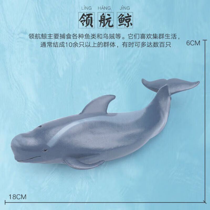 哈姆狼儿童玩具实心动物海洋鲸鱼鲨鱼模型海洋动物海底生物模型鲨 18厘米领航鲸