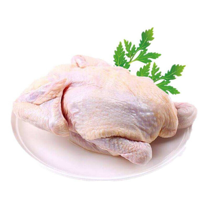 新鲜农家老母鸡2只三黄鸡鸡白条鸡鸡熟食去内脏