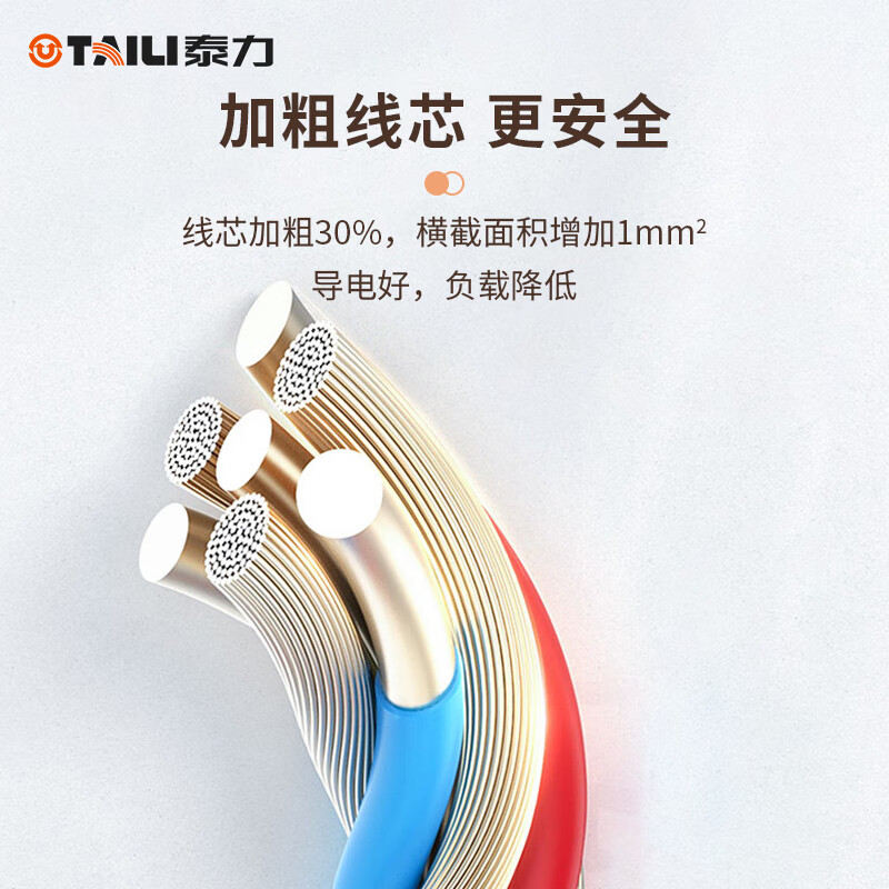 泰力插排 插线板 插座 多功能接线家用多孔转换器大功率分控电源开关 2位5孔(1.6m)总控