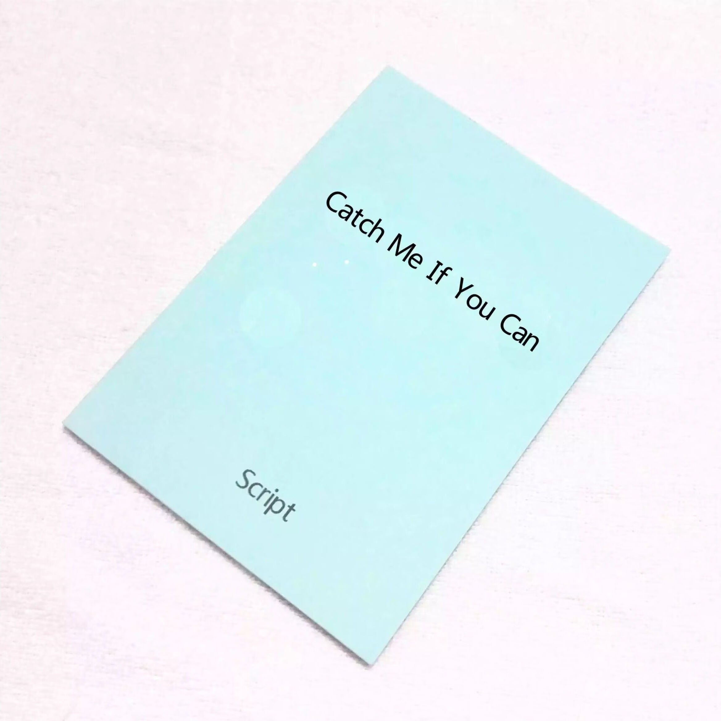 猫鼠游戏中英文对照台词剧本李奥纳多周边逍遥法外定制包邮 中英对照