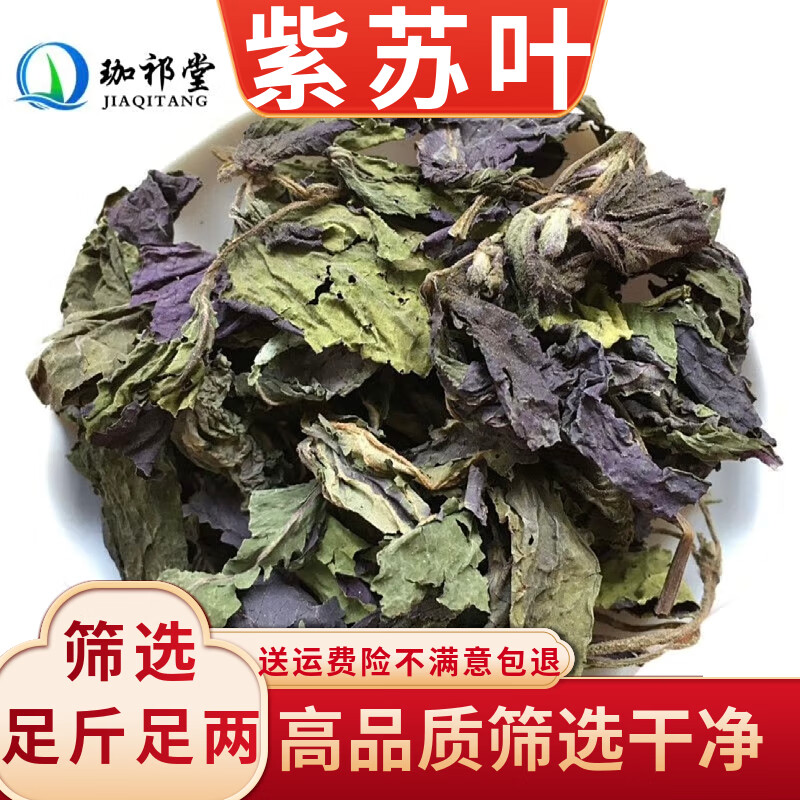 珈祁堂 紫苏叶中药材500克 别名 苏叶赤苏紫苏皱苏尖苏香苏叶