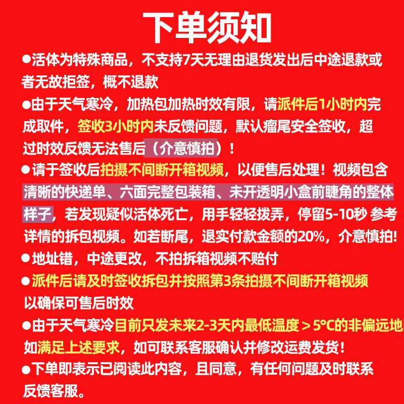 nll/nlp细皮瘤尾守宫活体小型幼体大眼萌宠新手易养爬宠温顺 下单须知