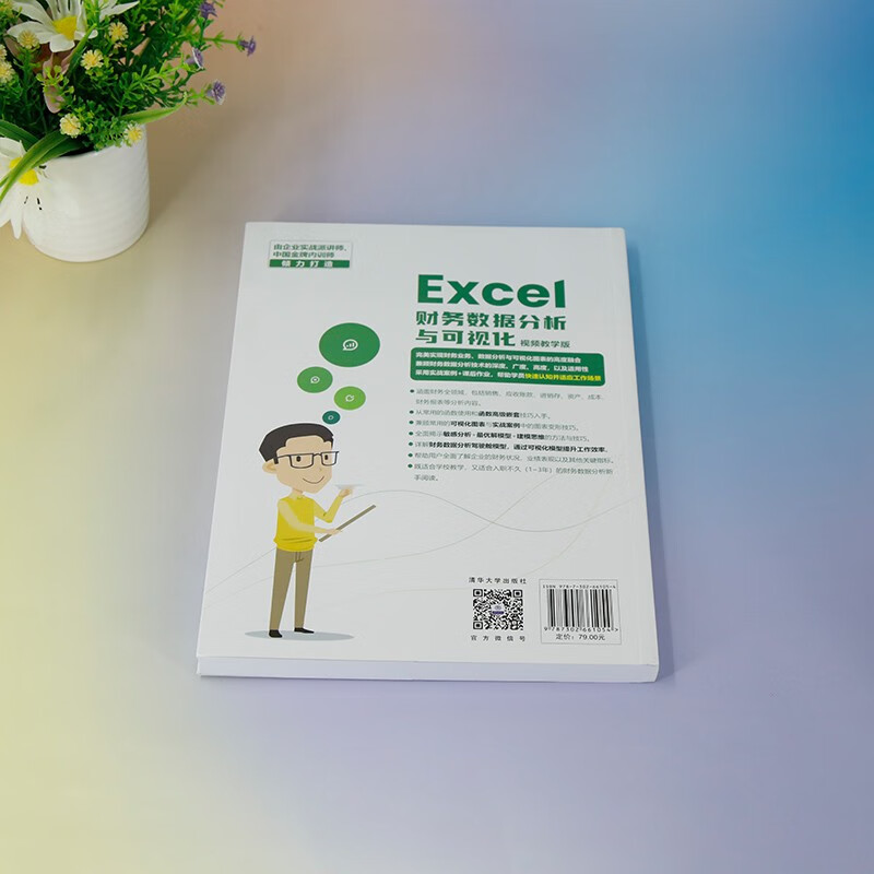 Excel财务数据分析与可视化（视频教学版）