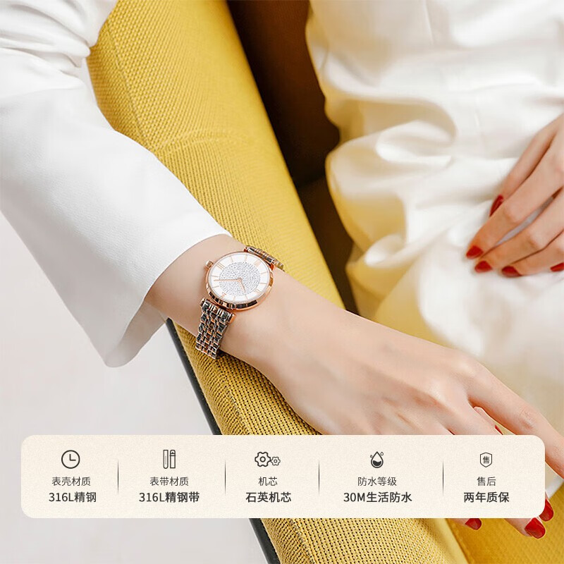 DK满天星女士手表女石英表生日新年情人节礼物送女友送老婆送妈妈 钢带满天星白盘金边 32mm