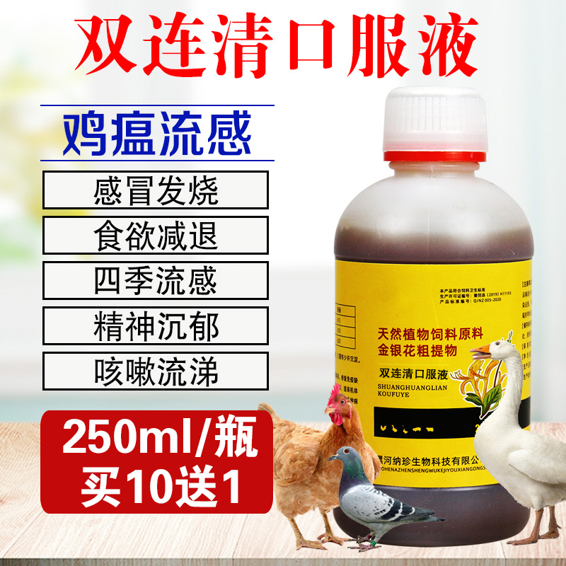 猪感冒了喂什么药 猪感冒喂什么药最快