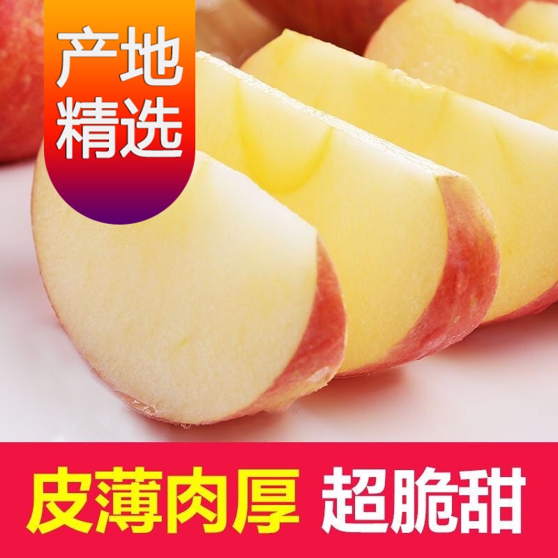 【精选现发】阿克苏冰糖心苹果新鲜水果正宗新疆红富士脆甜丑苹果 五斤装中果