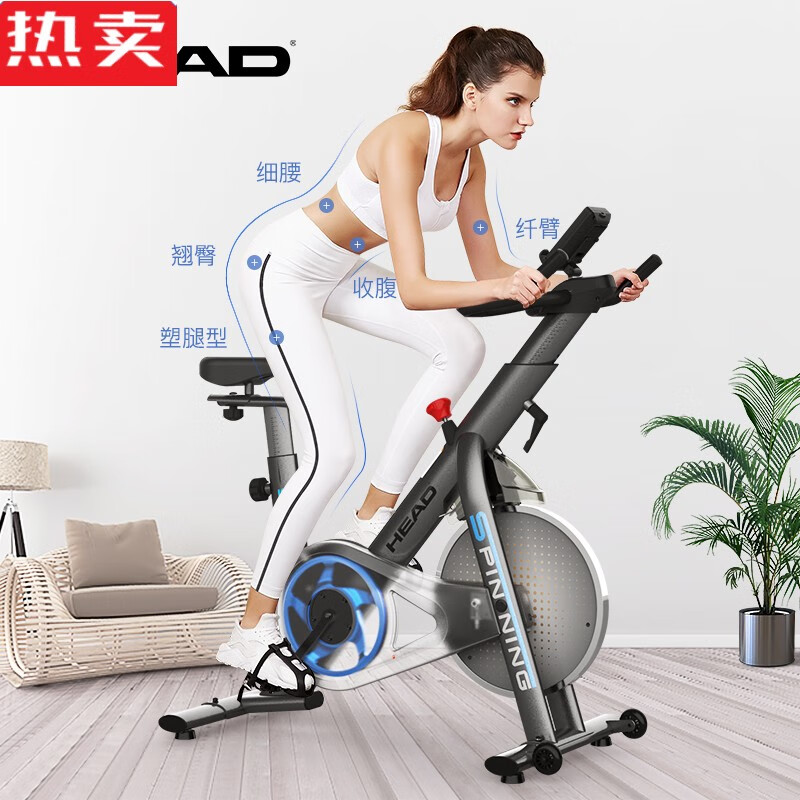 木兰旅健身车家用健身房动感单车小型室内健身器材脚踏车 320标准款