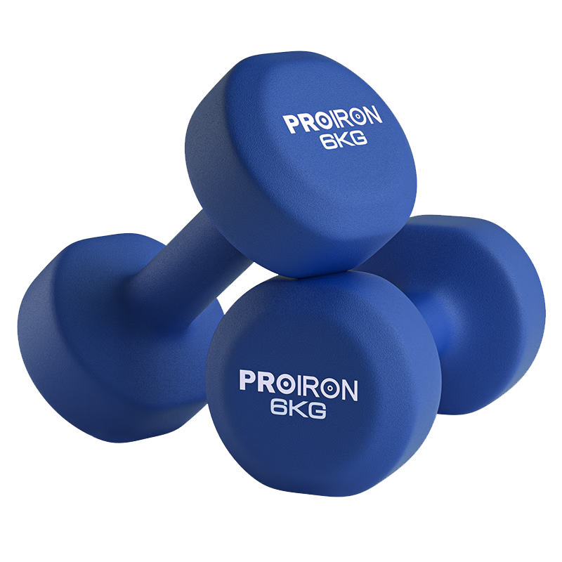 PROIRON  ʿýܴװ ɫ 6kg*2 150Ԫ