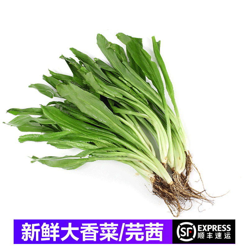 桃李村【顺丰】大香菜新鲜芫茜 刺芹芫西冬阴功材料芫荽泰式香菜 250g