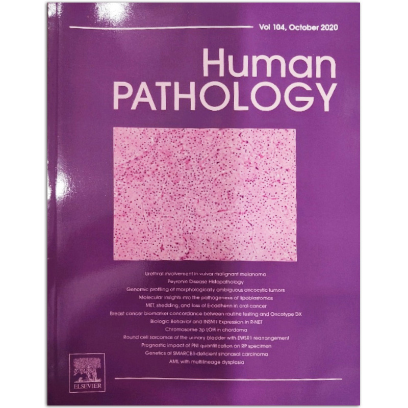 【单期可选】Human Pathology 人体病理学医学杂志 2019年1月刊 英文英语杂志 2020年10月刊