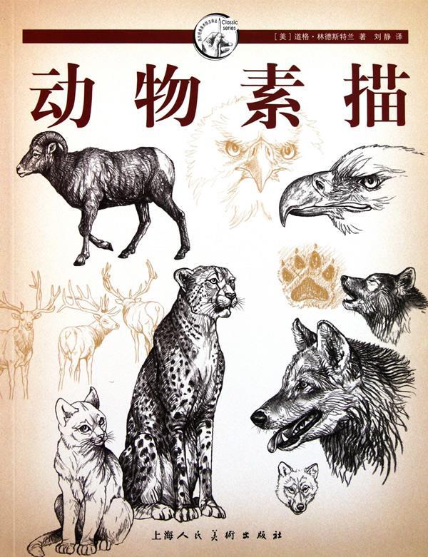 动物素描---西方经典美术技法译丛-W