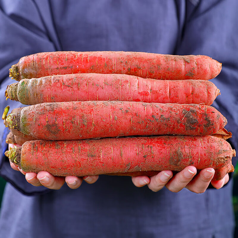 凯宇菲歌沙地红萝卜陕西红萝卜当季农家新鲜蔬菜生吃水果红心罗卜