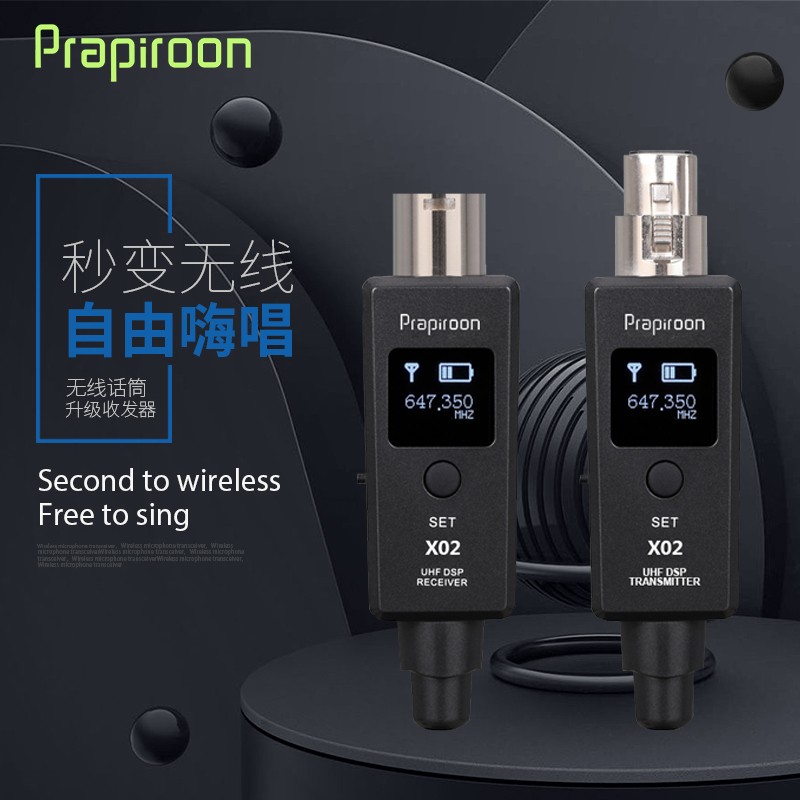 彼安(prapiroon) 无线麦克风升级装置 无线话筒收发器 有线话筒转换器