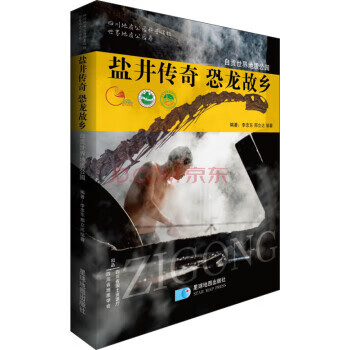 盐井传奇 恐龙故乡【正版】