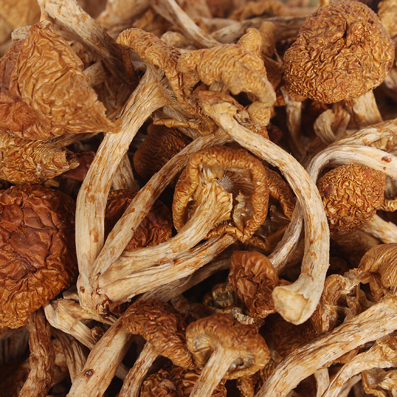 东北大兴安岭滑子菇干货小黄磨滑菇香菇小鸡炖蘑菇500克