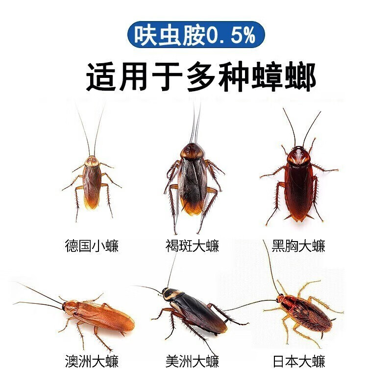 绿豆芽蟑螂药呋虫胺家用杀蟑胶饵灭杀德国小蠊蟑螂屋饵剂厨房杀虫剂 胶饵3支(送粉剂6包)