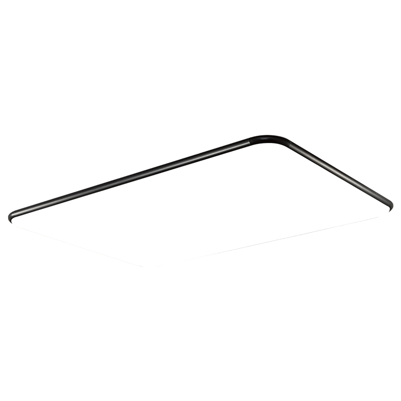 雷士(NVC) led吸顶灯 北欧创意客厅灯大瓦数客厅灯北欧灯具灯饰 现代简约遥控客厅灯 力荐!160瓦 遥控无极调光客厅大灯