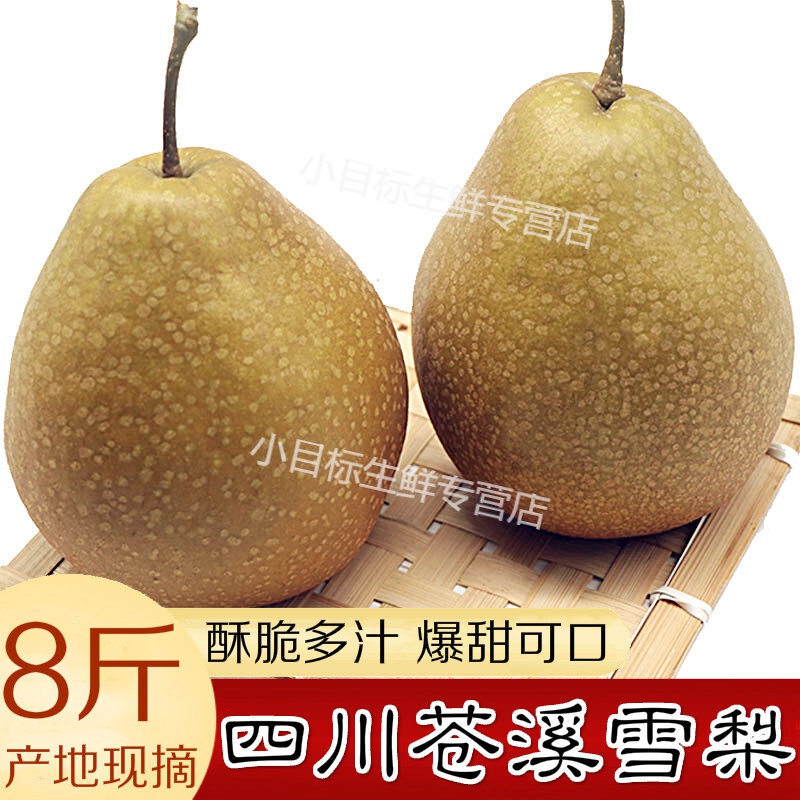 正宗苍溪雪梨 四川广元苍溪特产大梨子施家梨黄皮翠冠梨 8斤 老品种
