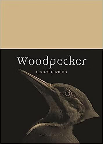 预订 woodpecker