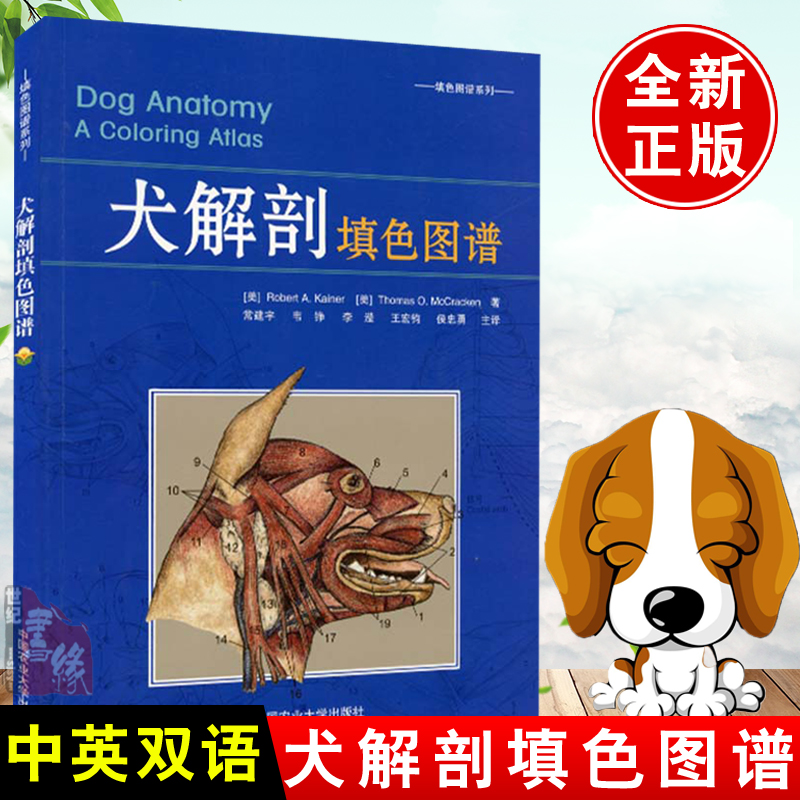 犬解剖填色图谱小动物解刨学图解犬解刨基础知识兽医临 解剖学书籍