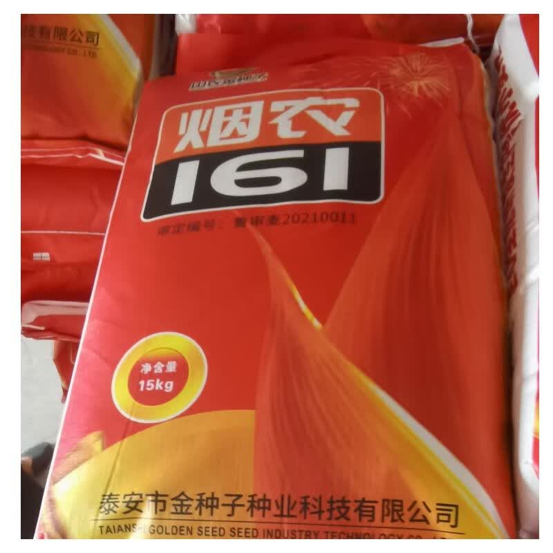 新审定烟农1212济麦22杂交好品种烟农161抗冻矮杆小麦种 早熟小麦种烟农161 15kg/袋怎么样,好用不?